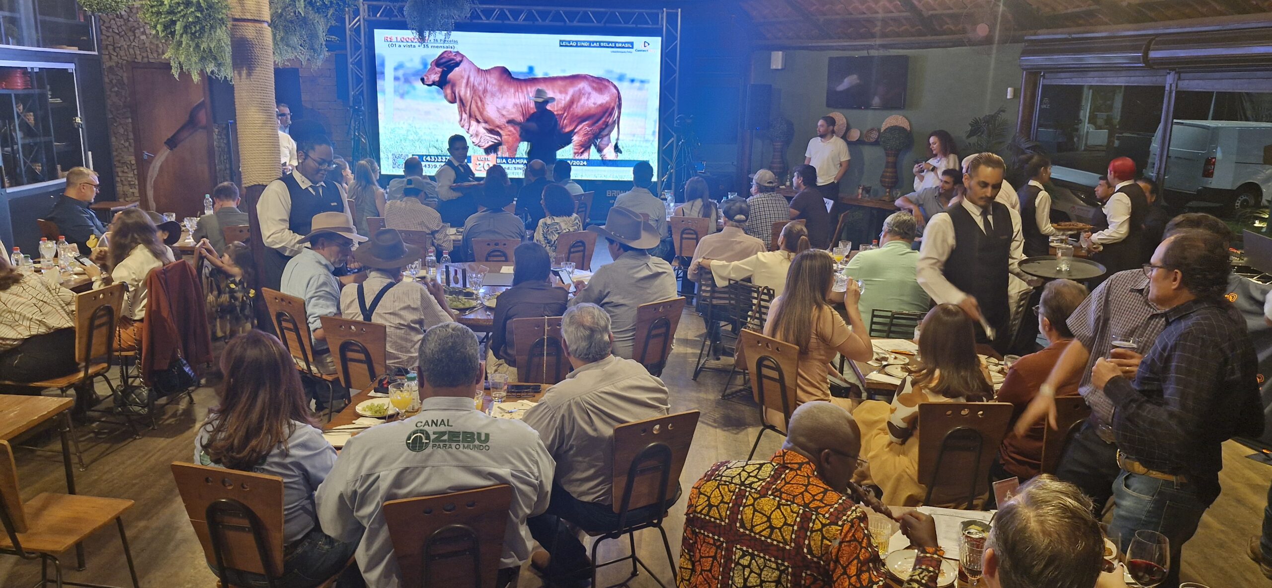 Las Bela Brasil, a família Sindi pela evolução da raça