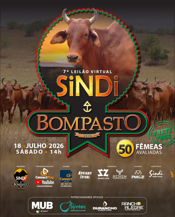 Leilão Virtual Sindi Bompasto