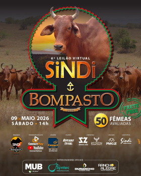 Leilão Virtual Sindi BomPasto