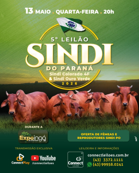 Leilão Virtual Sindi do Paraná