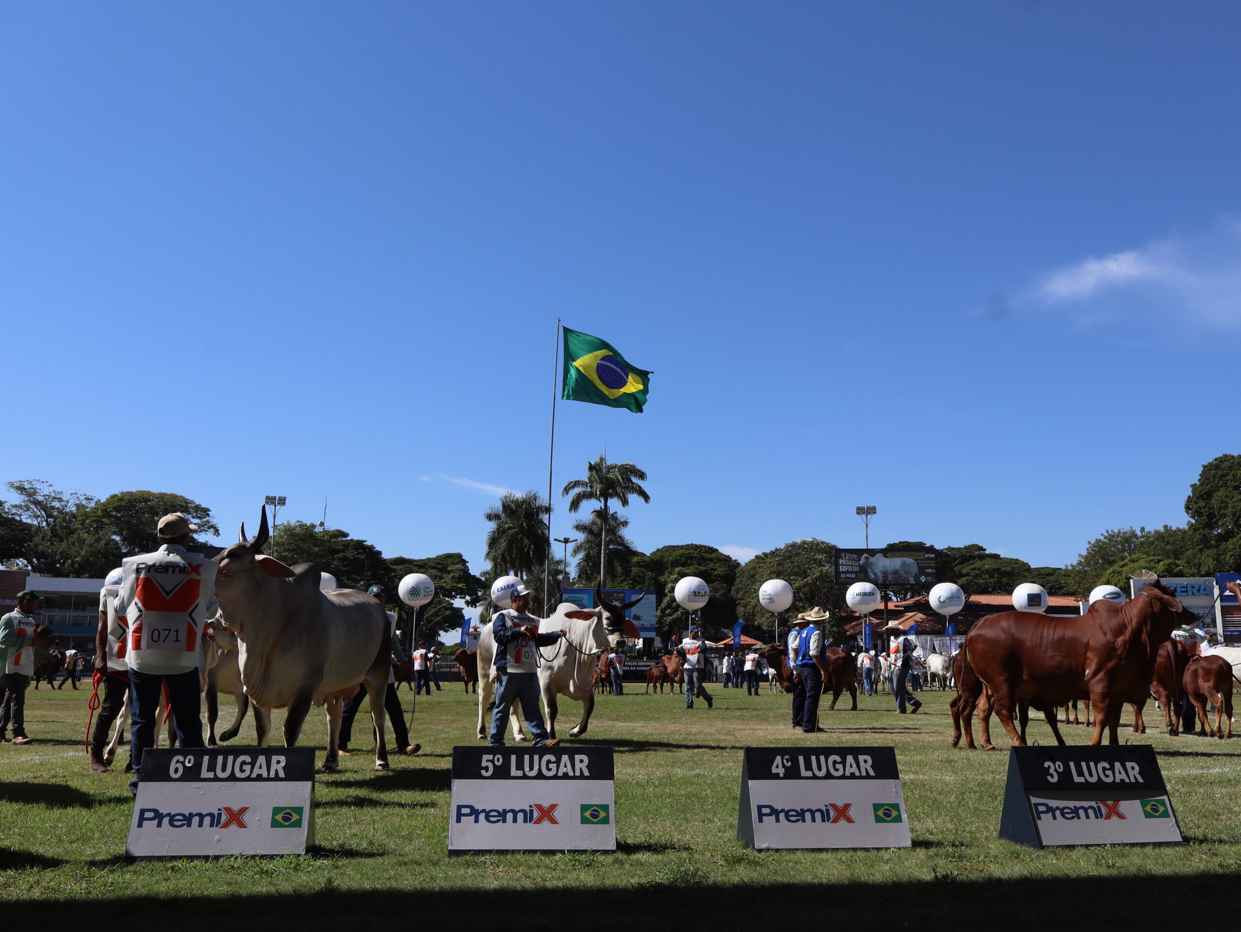 Expozebu 2026