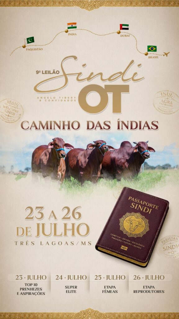9º Leilão Sindi OT – Caminho das Índias / 23 a 26 Julho