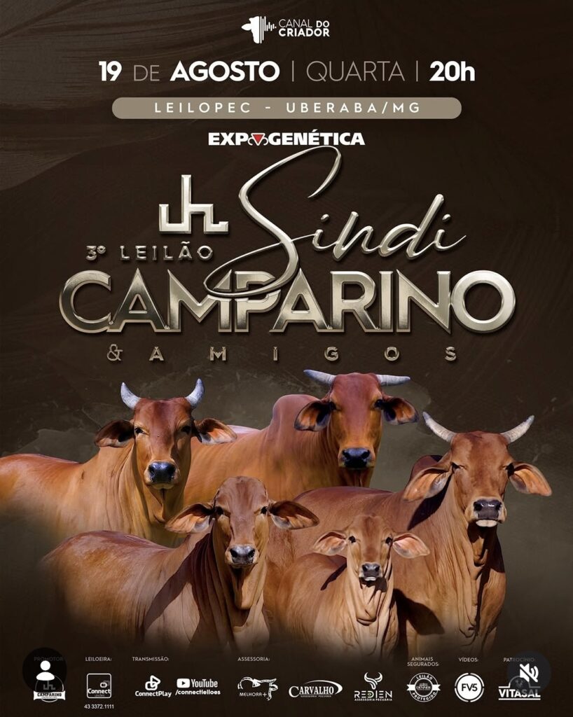 3º Leilão Sindi Camparino & Amigos