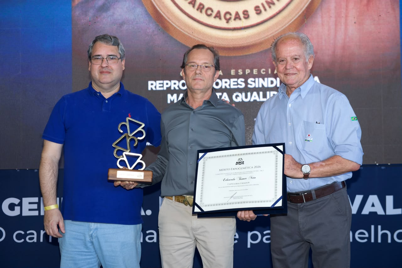 Veja o mérito do criador mais técnico do Sindi