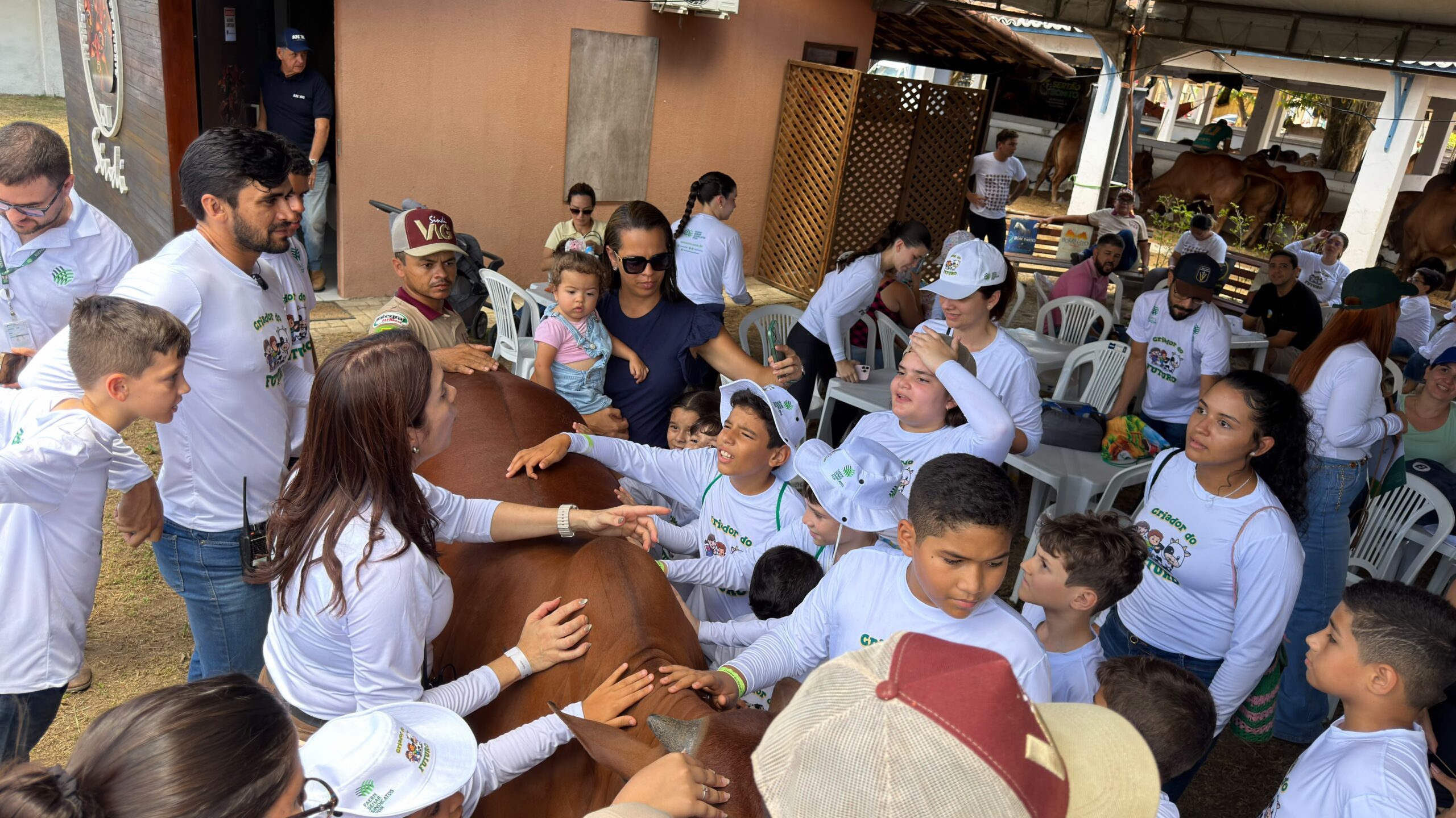 Sindi e Mulheres, protagonistas na Festa do Boi
